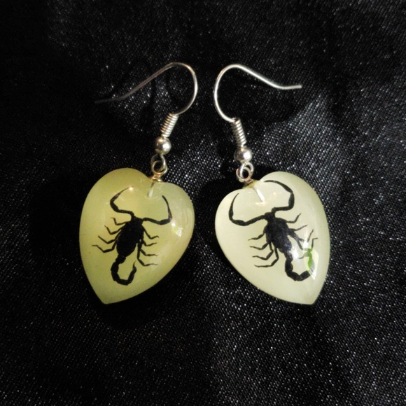 Jewelry - Glow in the Dark Scorpion Earrings Halloween
